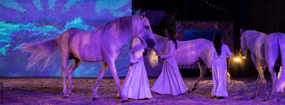 Nomades 20220708-0601