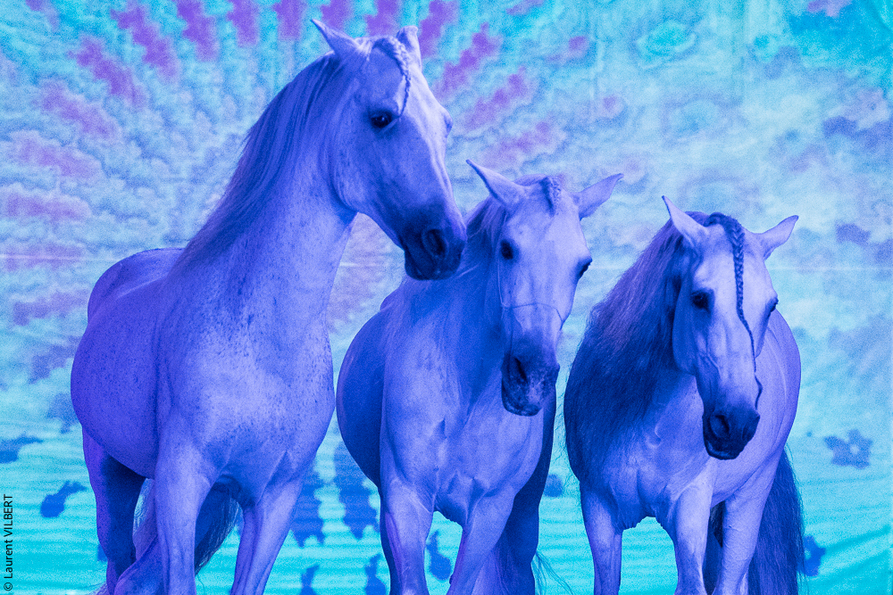 Nomades 20220708-0629