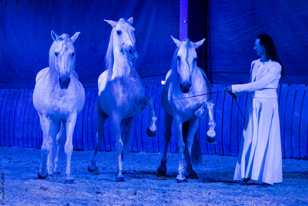 Nomades 20220708-0672