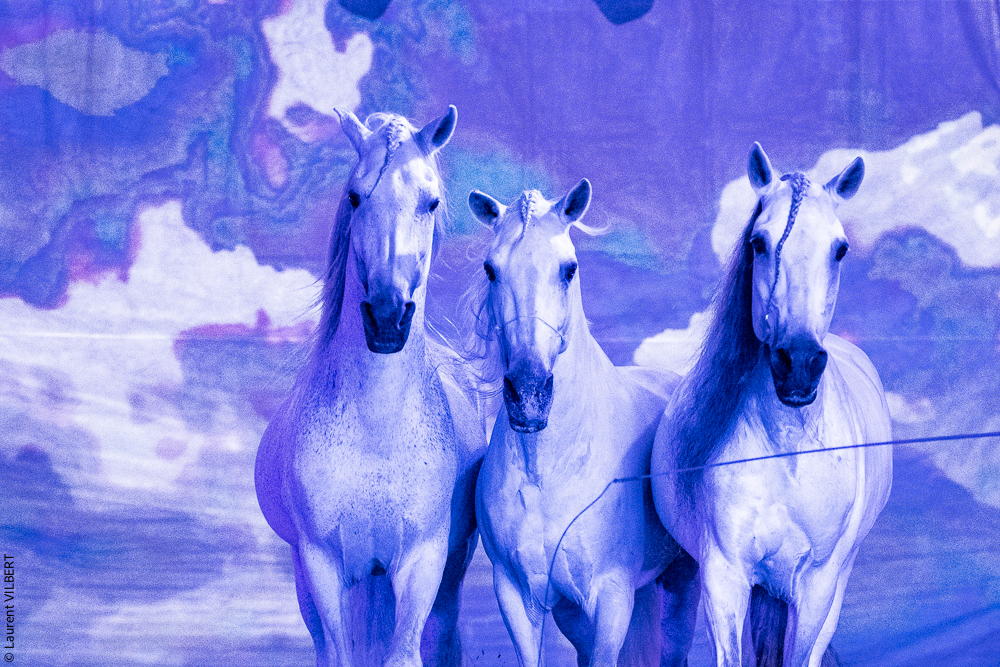 Nomades 20220708-0708