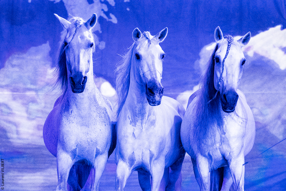 Nomades 20220708-0709