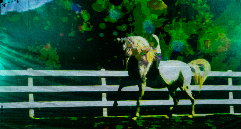 Nomades 20220708-0949