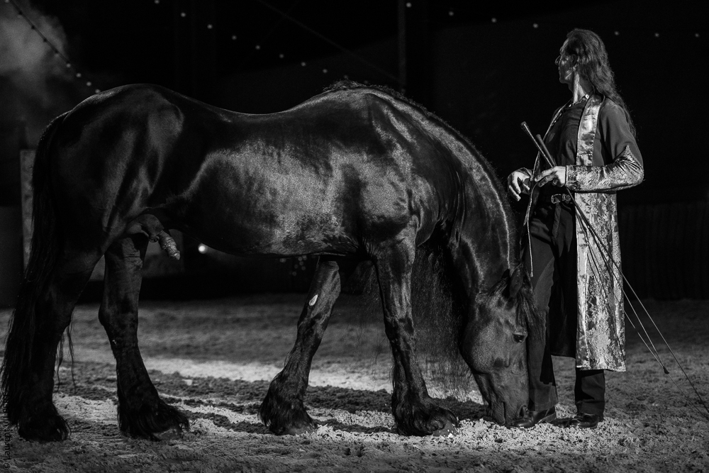 Nomades 20220708-1008