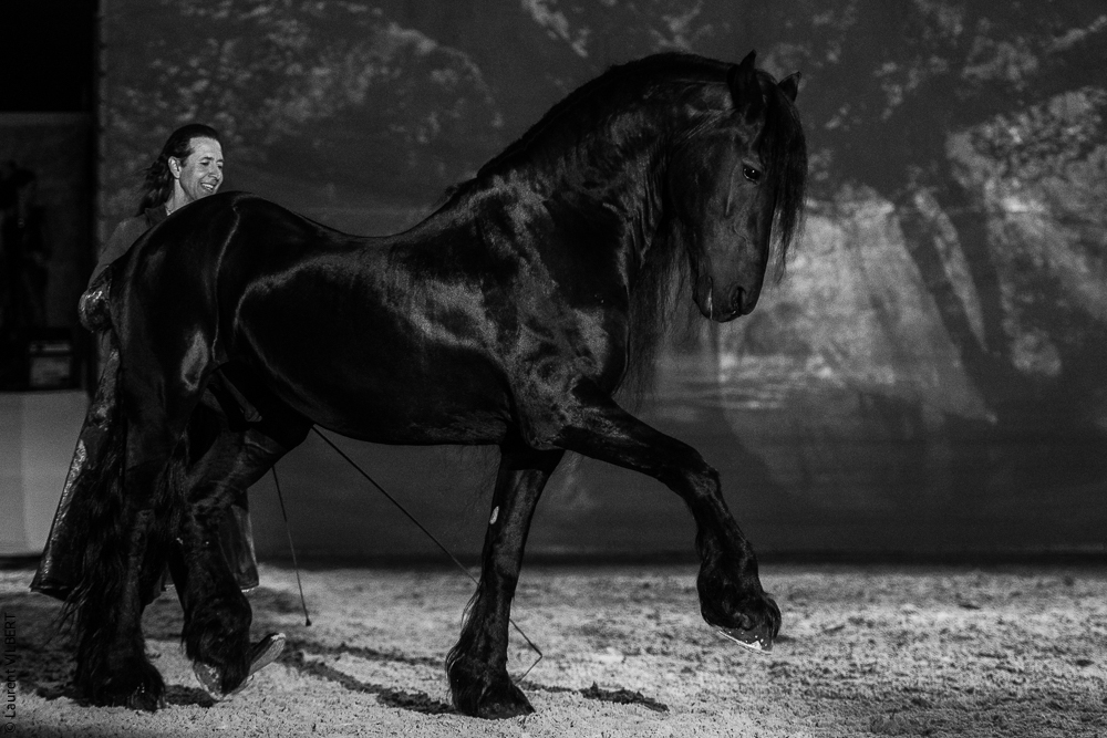 Nomades 20220708-1050