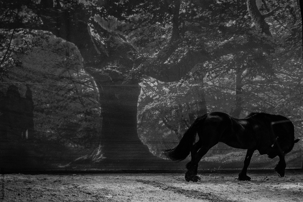 Nomades 20220708-1064