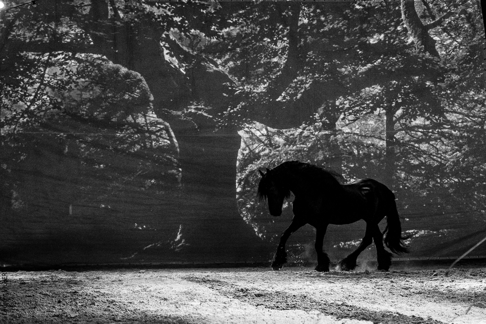 Nomades 20220708-1070