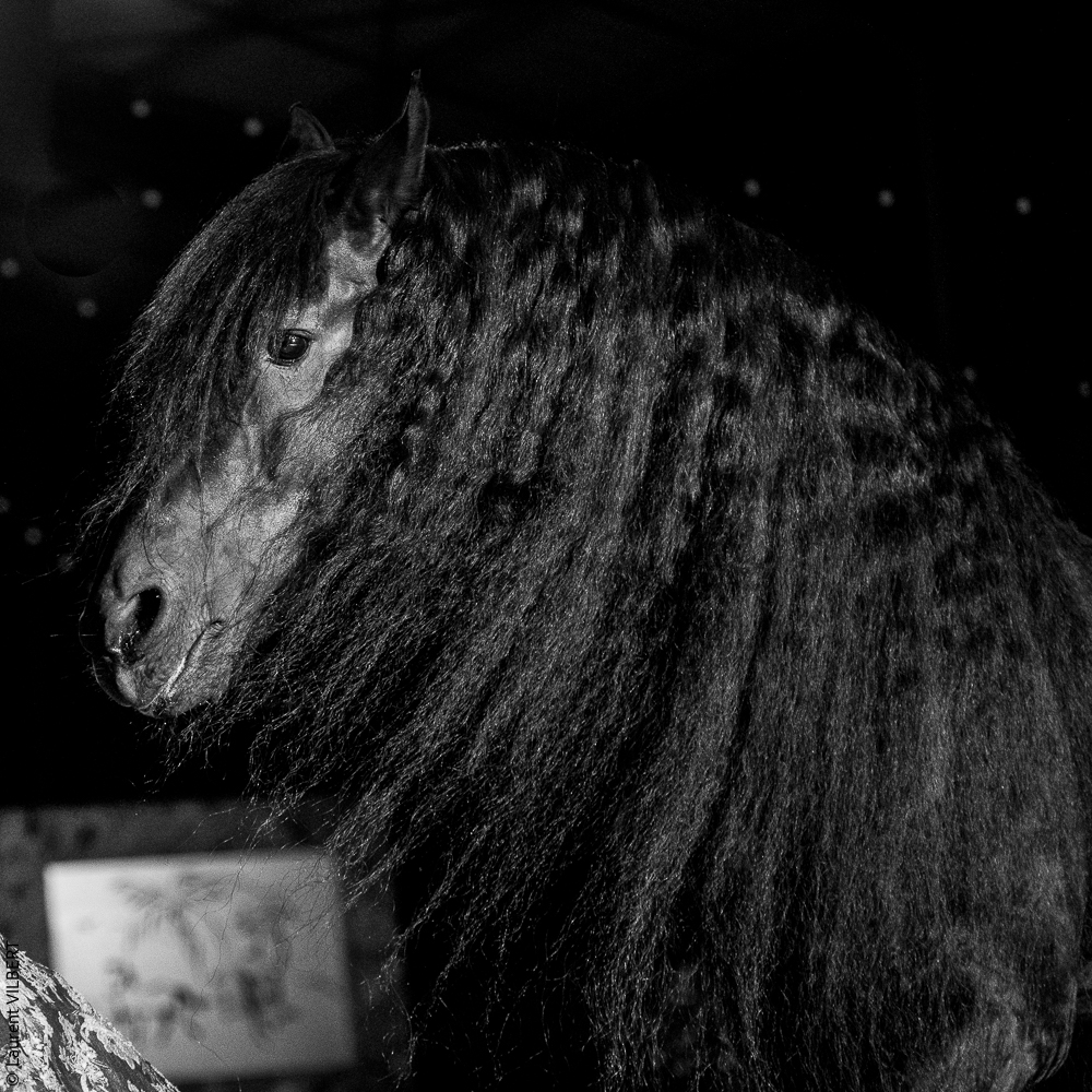 Nomades 20220708-1096