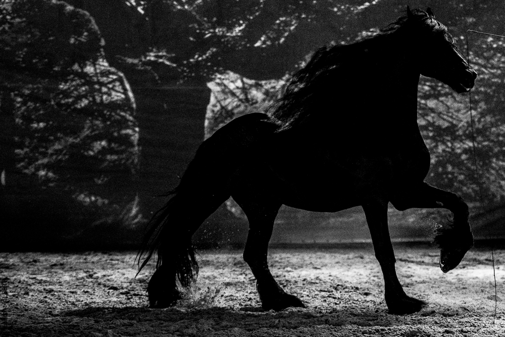 Nomades 20220708-1156