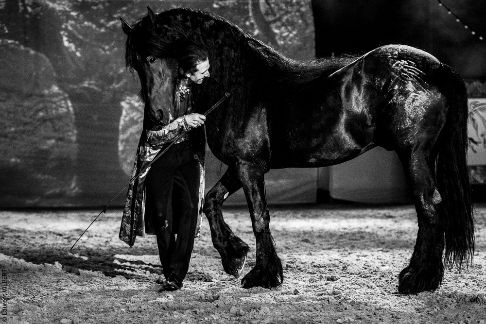 Nomades 20220708-1175