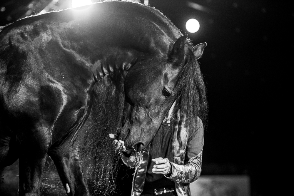 Nomades 20220708-1188