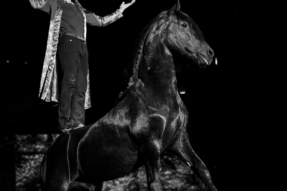 Nomades 20220708-1227