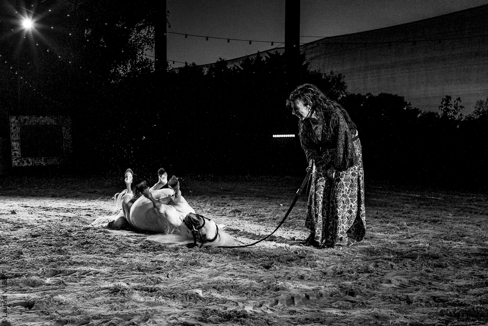 Nomades 20220708-1318