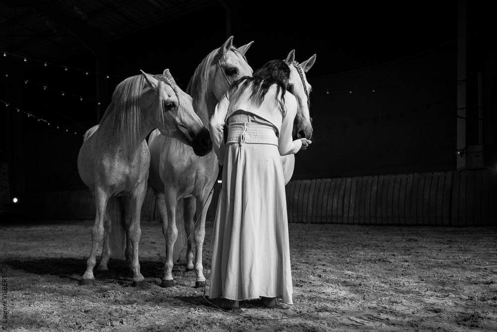 Nomades 20220708-1350