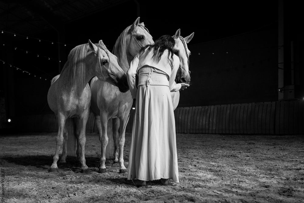 Nomades 20220708-1351