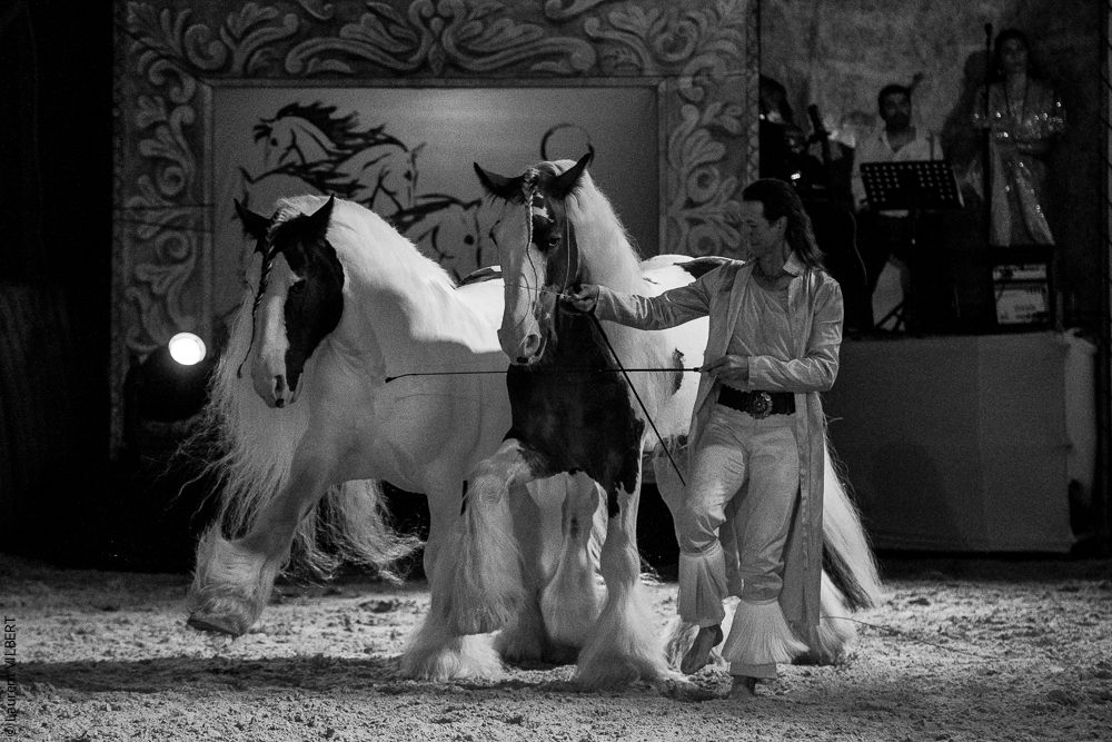 Nomades 20220708-1575