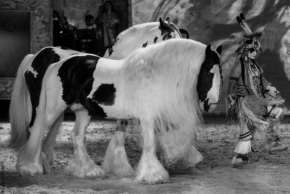 Nomades 20220708-1581