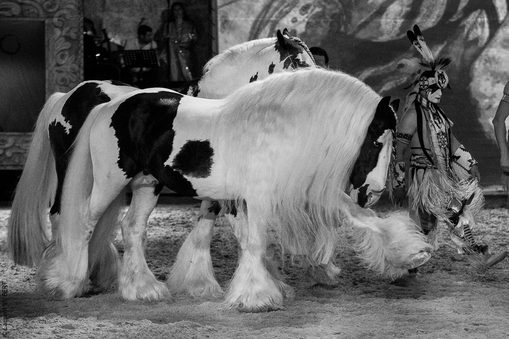 Nomades 20220708-1582