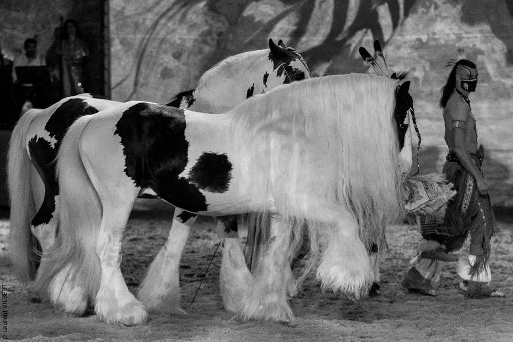 Nomades 20220708-1583