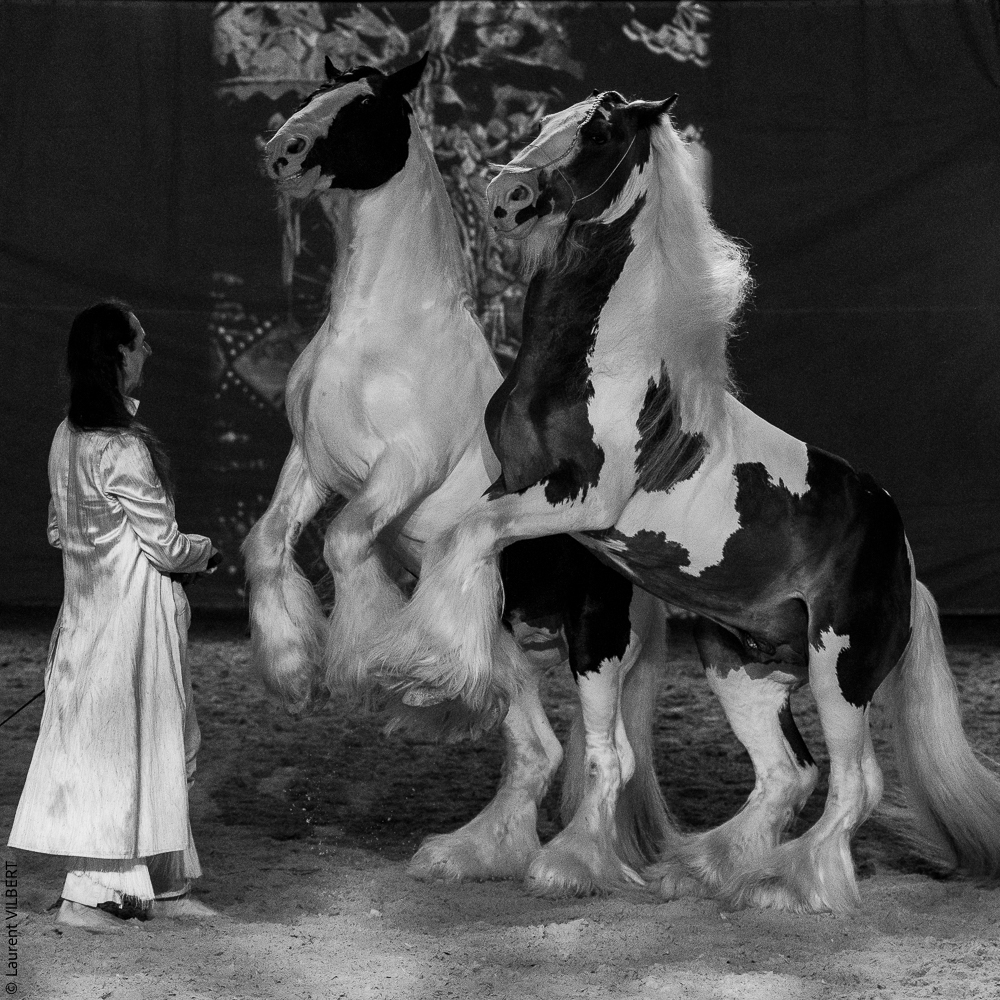 Nomades 20220708-1595