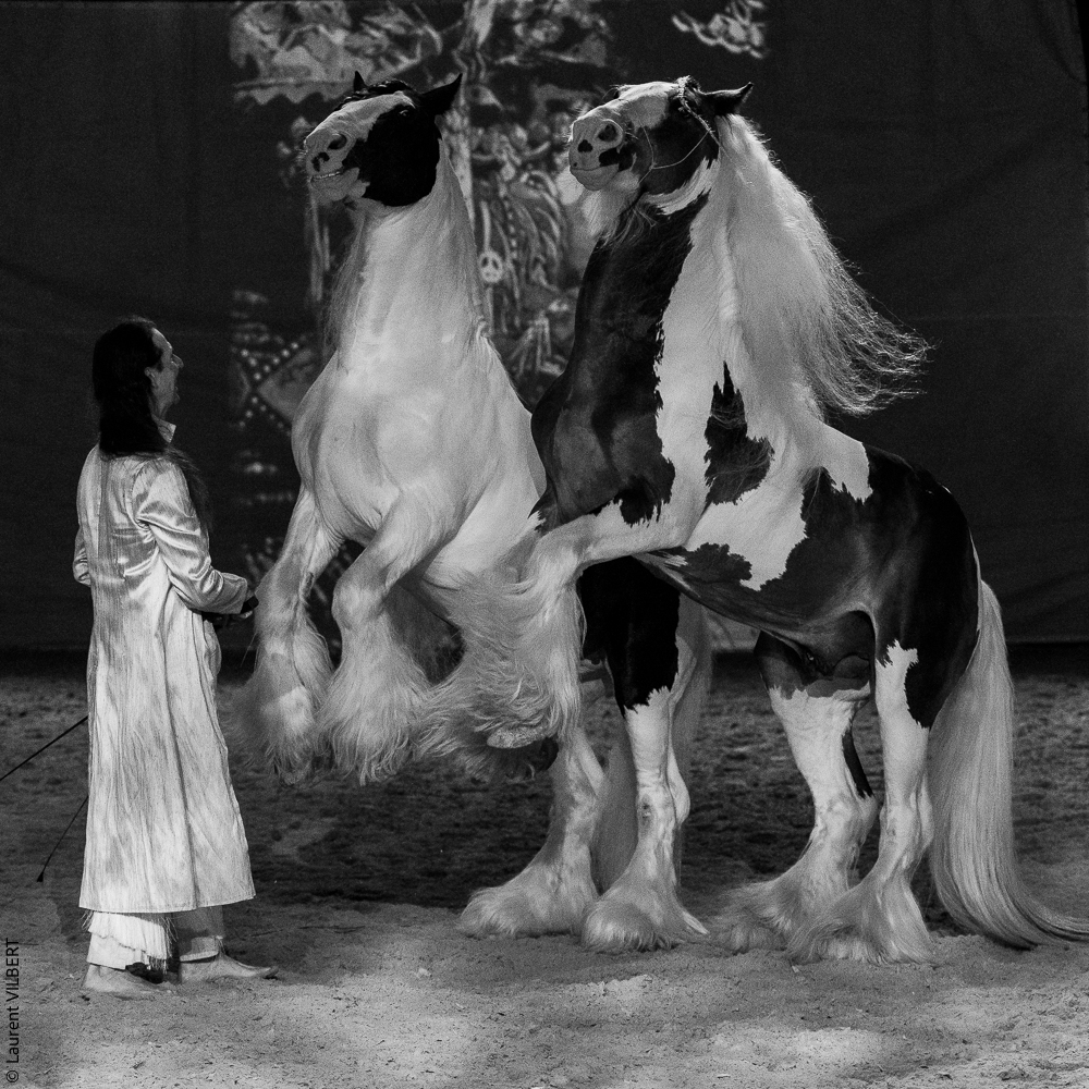 Nomades 20220708-1597