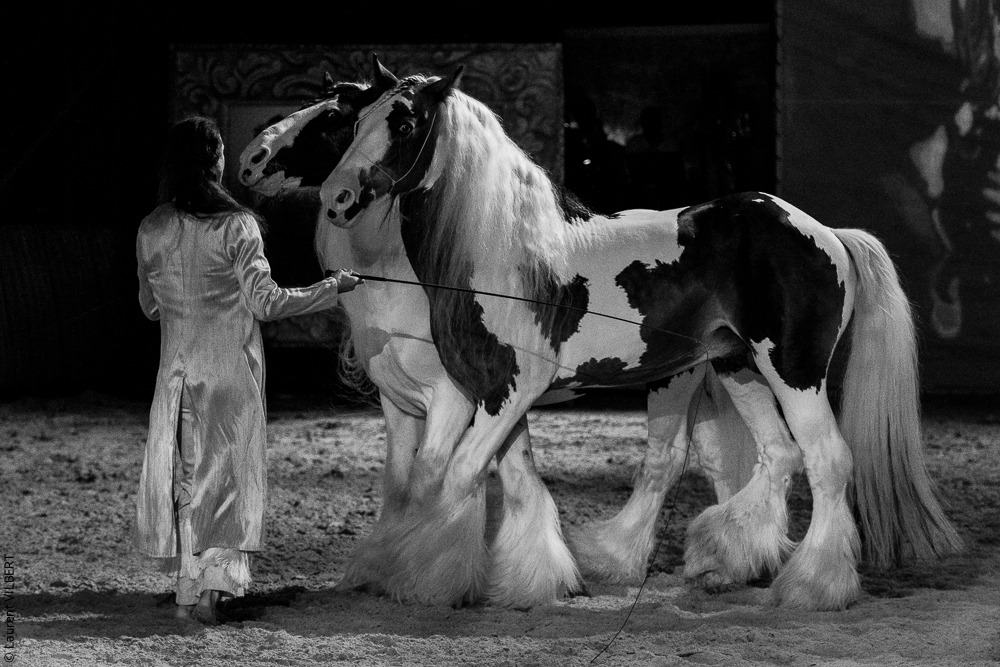 Nomades 20220708-1602