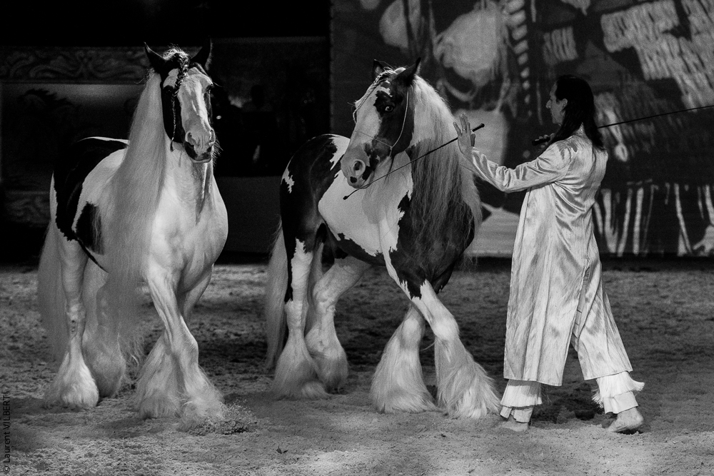 Nomades 20220708-1605