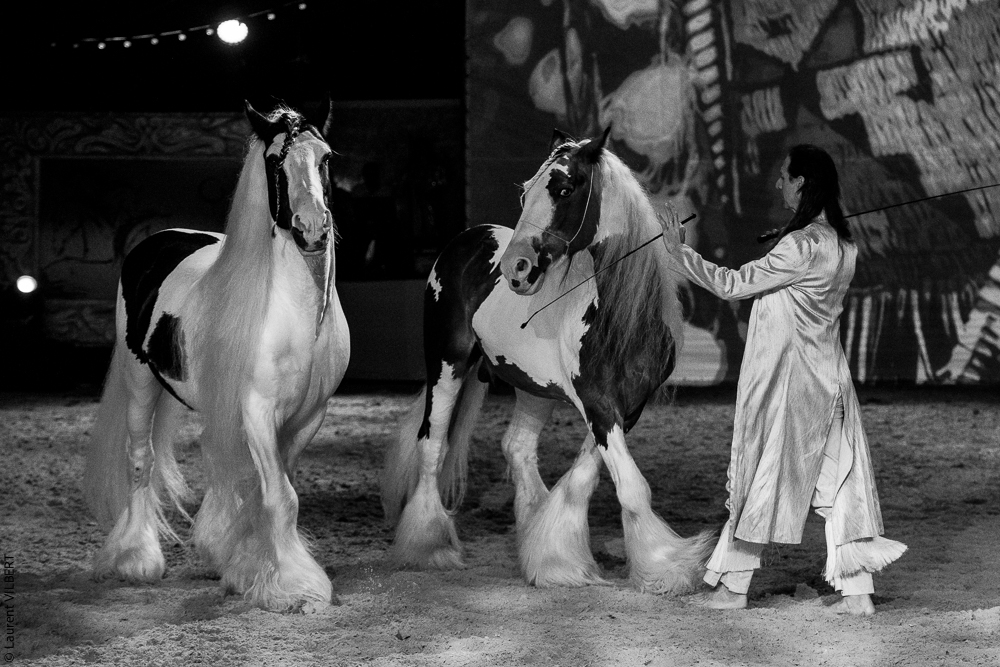 Nomades 20220708-1606