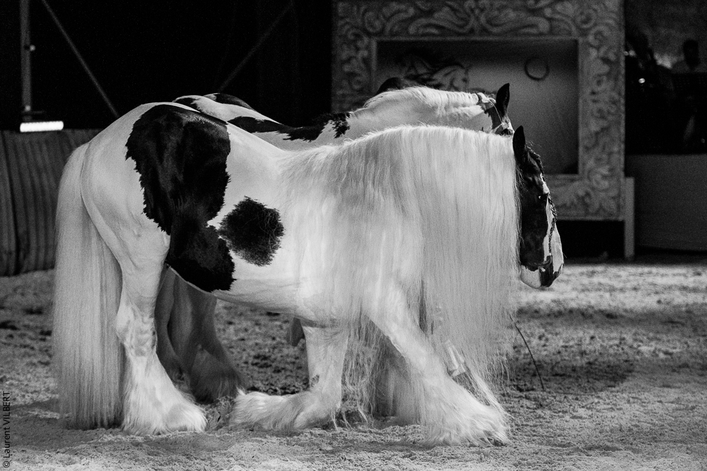 Nomades 20220708-1616