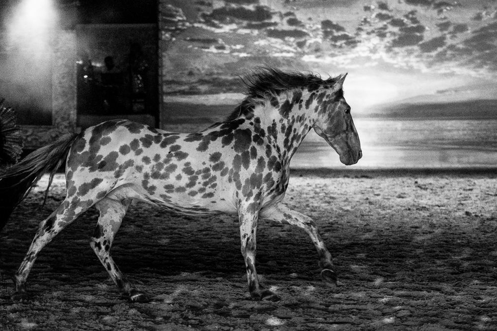 Nomades 20220708-1647