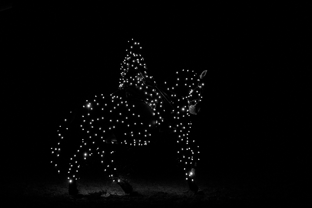 Nomades 20220708-1696