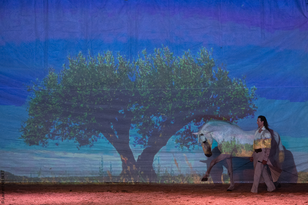 Nomades 20220708-1724