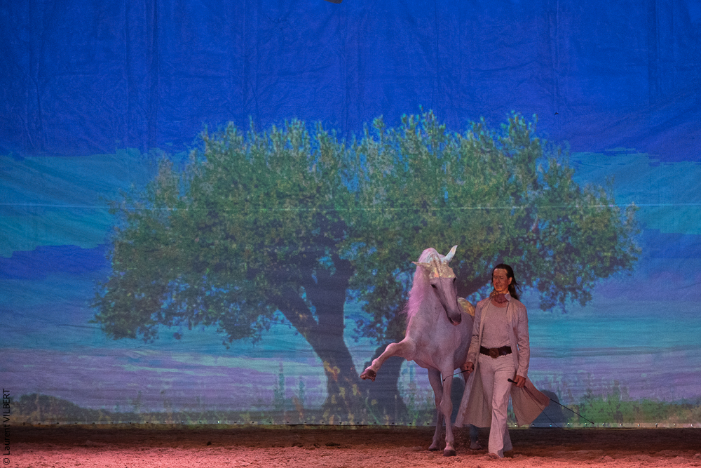 Nomades 20220708-1726