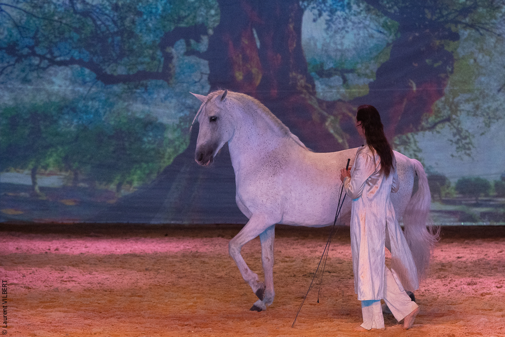 Nomades 20220708-1735