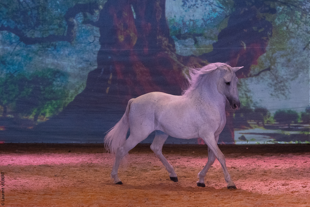 Nomades 20220708-1739