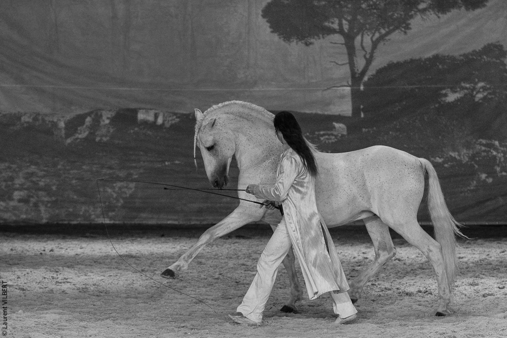 Nomades 20220708-1751