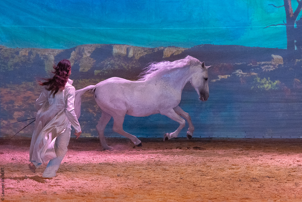 Nomades 20220708-1755