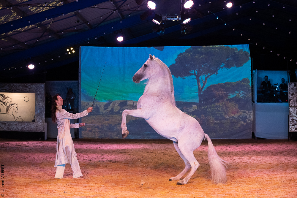 Nomades 20220708-1760