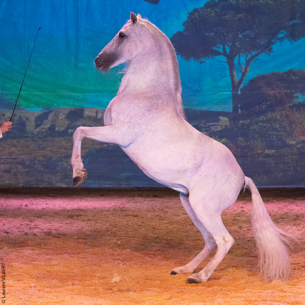 Nomades 20220708-1760