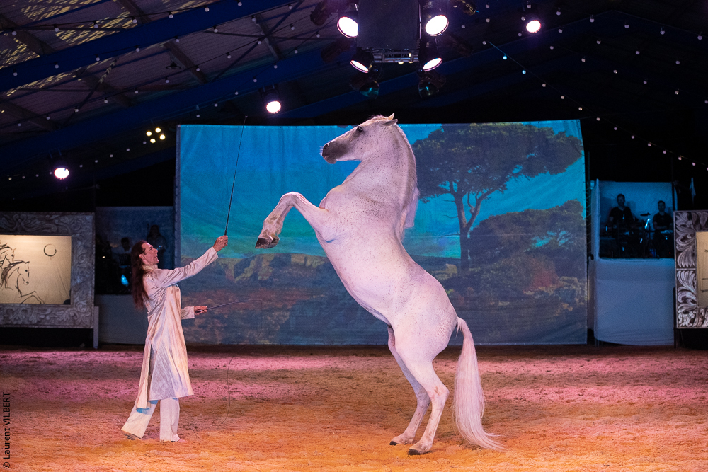 Nomades 20220708-1762