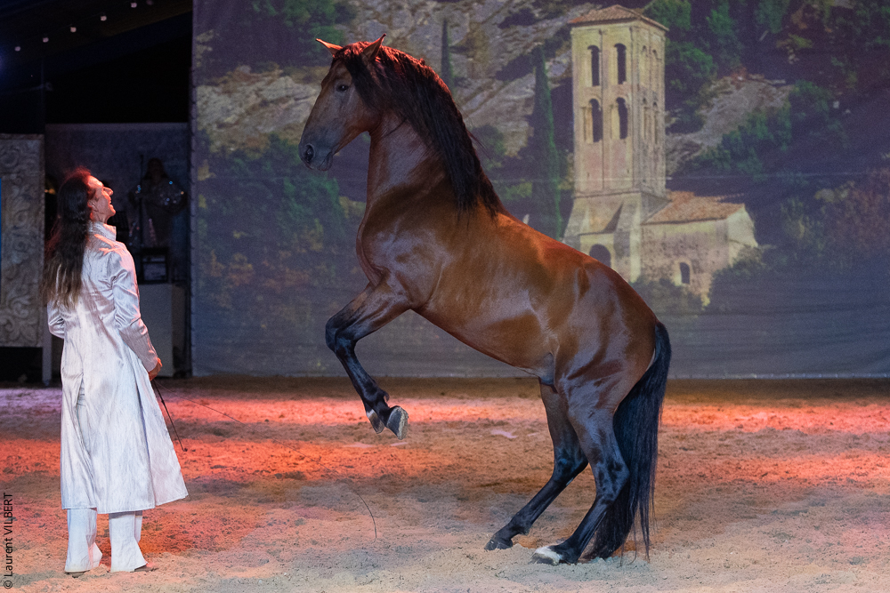 Nomades 20220708-1823