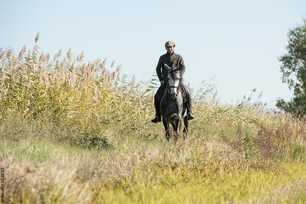 Pedrogao 20171113-0060