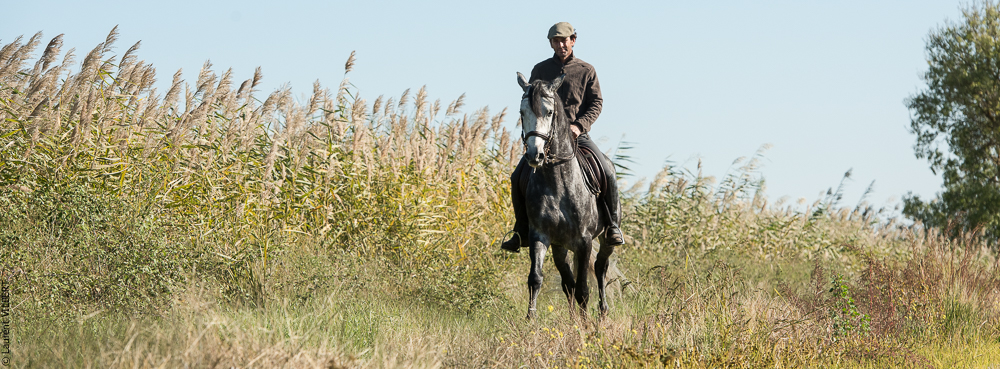 Pedrogao 20171113-0064