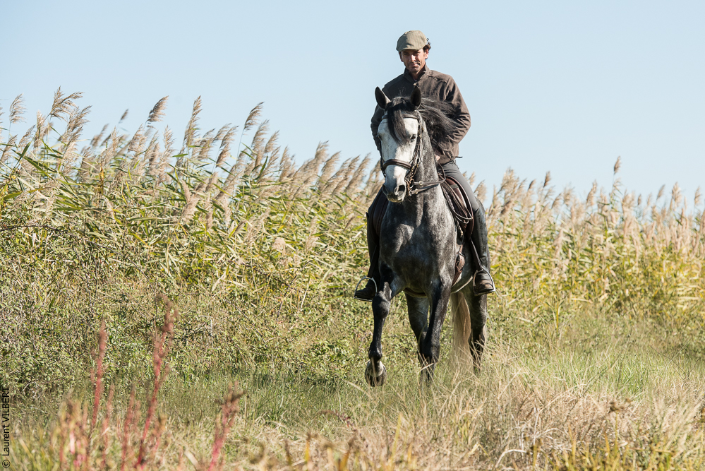 Pedrogao 20171113-0068