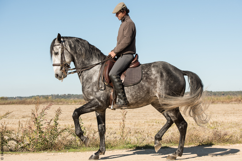 Pedrogao 20171113-0138