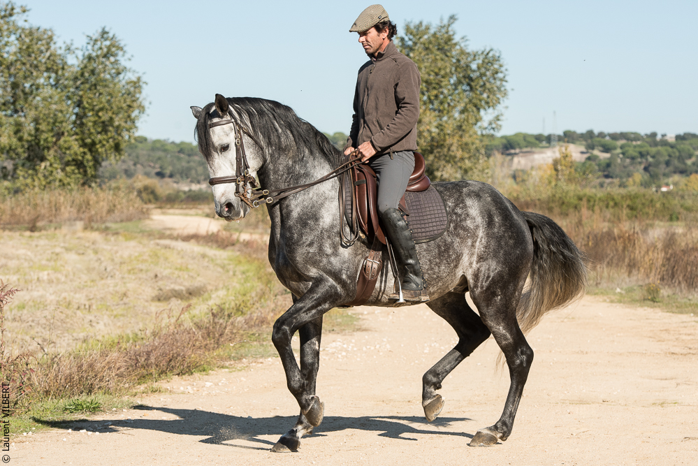 Pedrogao 20171113-0142