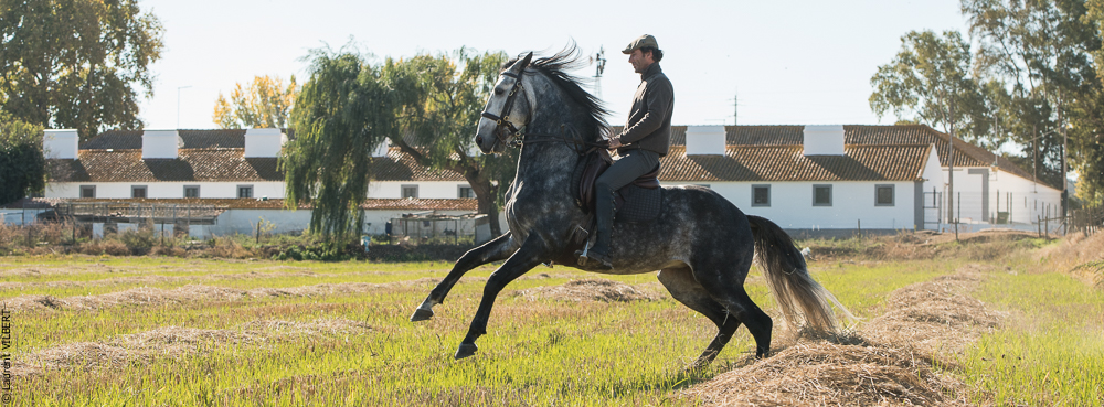 Pedrogao 20171113-0166