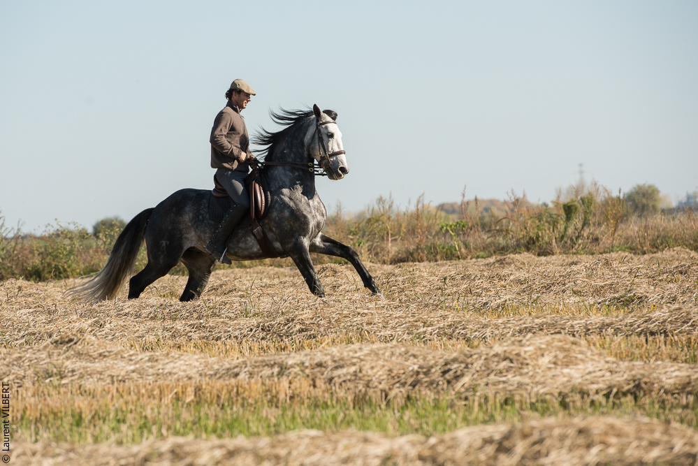 Pedrogao 20171113-0186