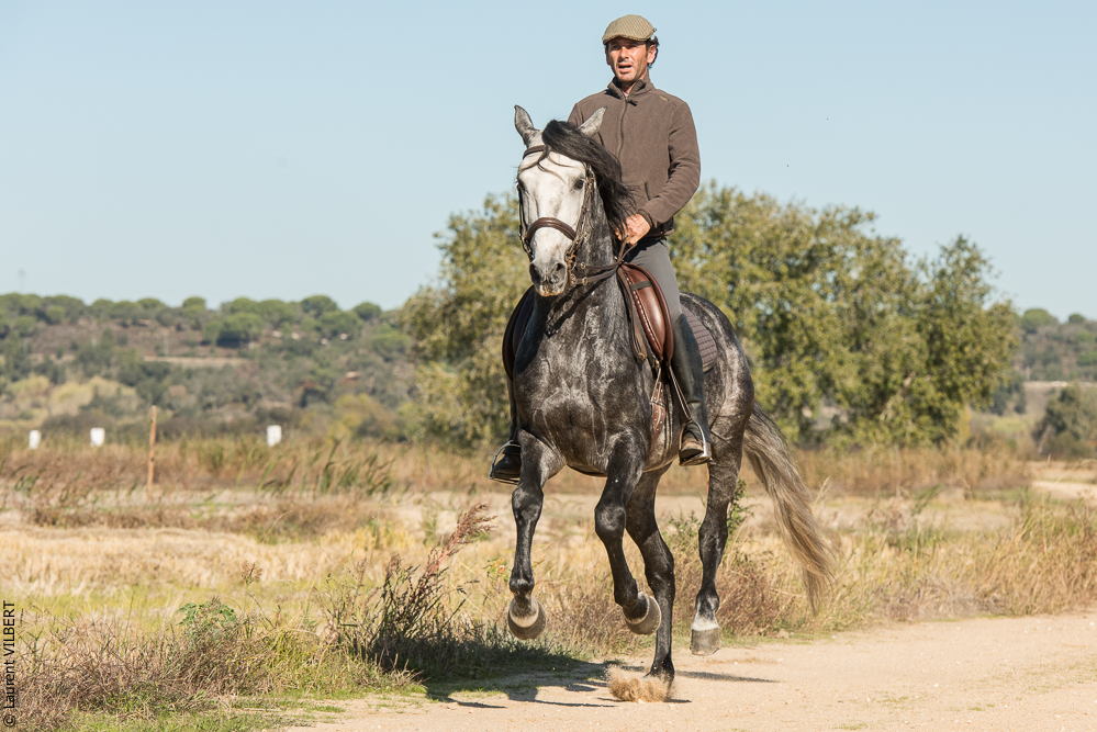 Pedrogao 20171113-0221