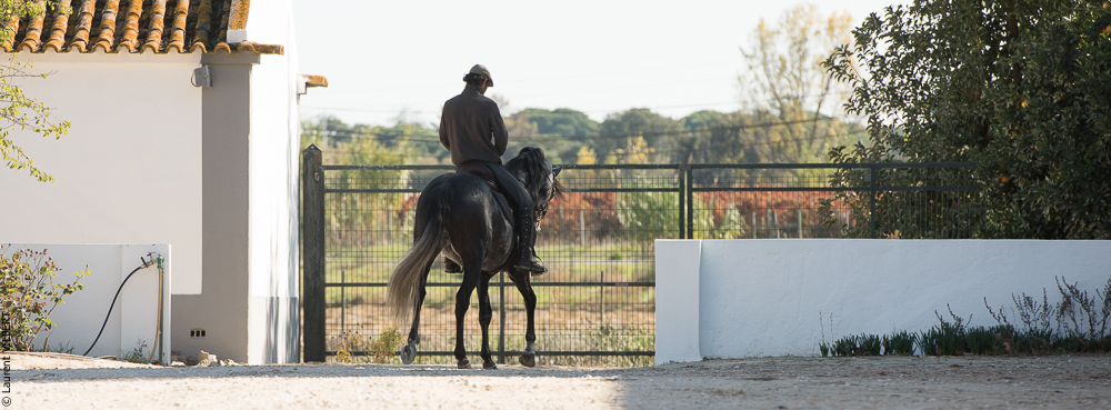 Pedrogao 20171113-0234