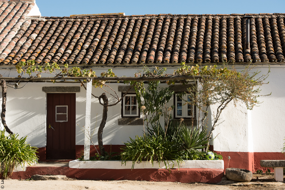 Pedrogao 20171113-0262